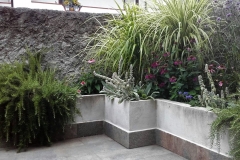 Miscanthus e stachis