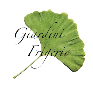 logo_big