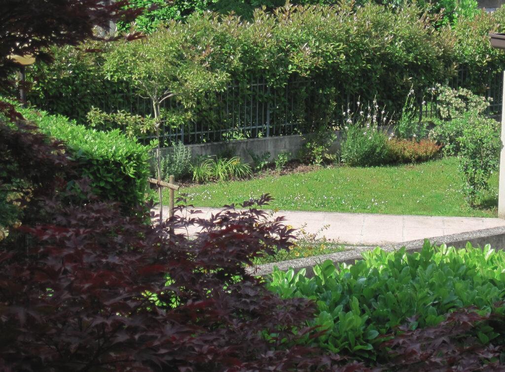 Giardino Condominiale (2)