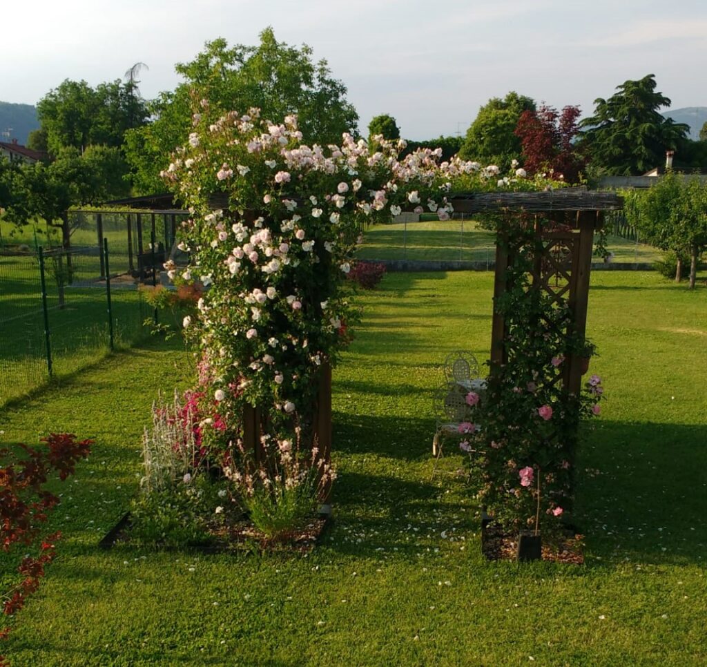 GiardinoGorizia_1